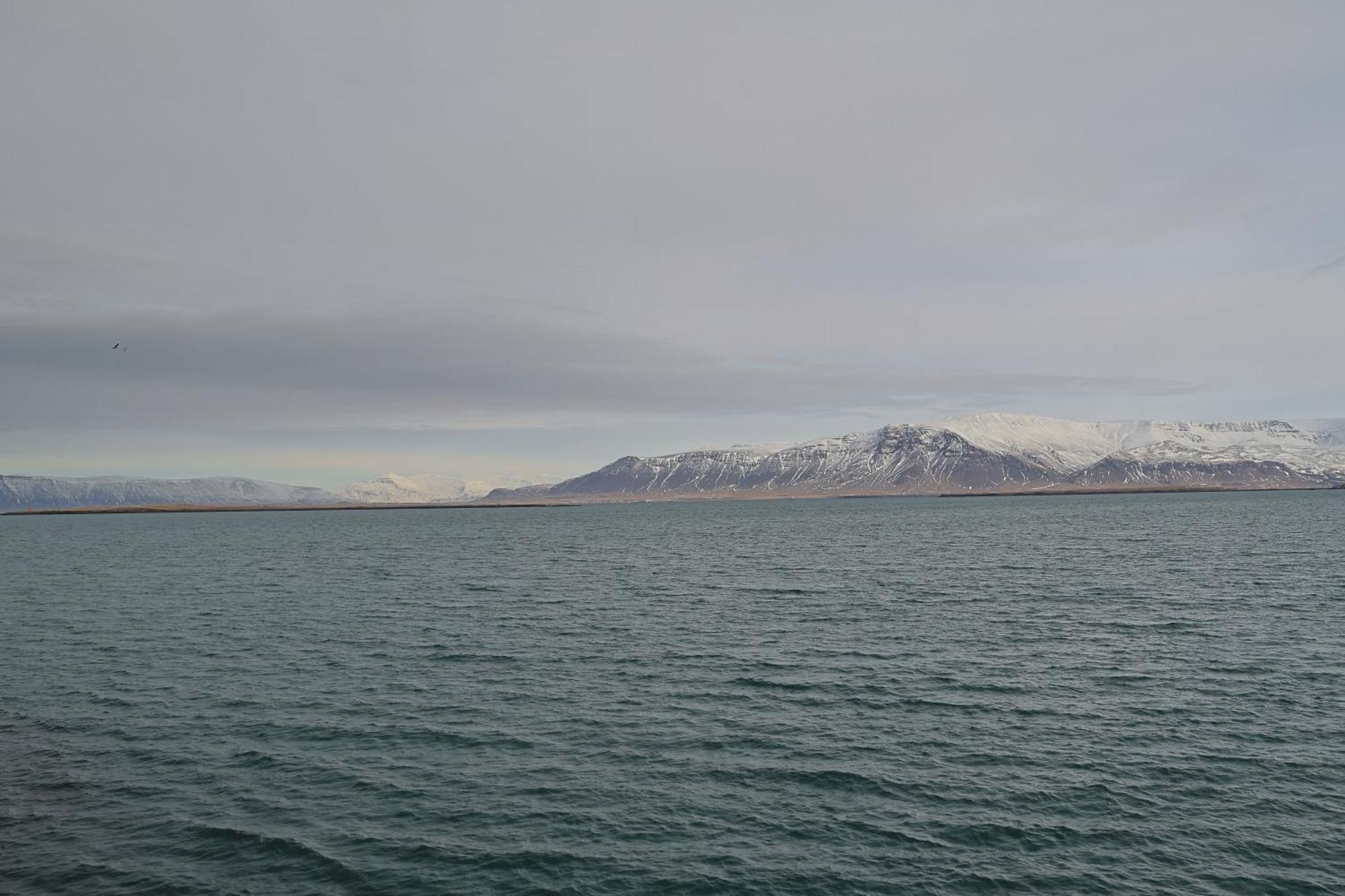 Ragna'S Apartment Downtown. Reykjavik Exterior photo